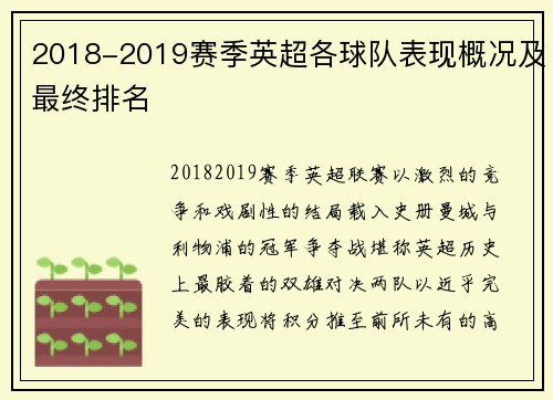 2018-2019赛季英超各球队表现概况及最终排名